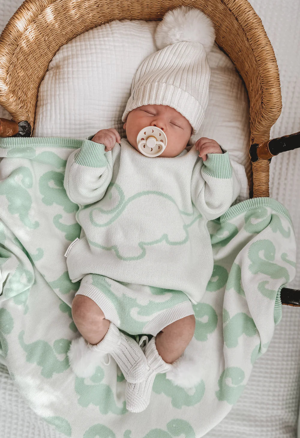 Indigo Dreams Dinosaur Bloomer