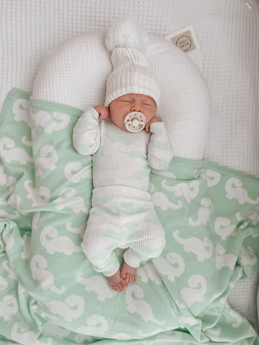 Indigo Dreams Dinosaur Knit Leggings