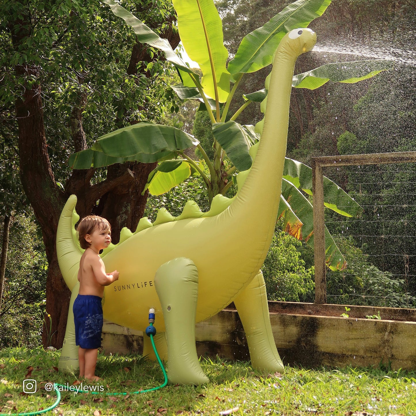 Sunny Life Dino Sprinkler Into The Wild