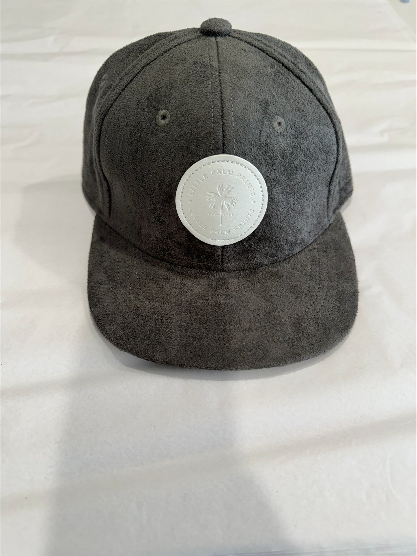 LPP Snapback Hat Suede