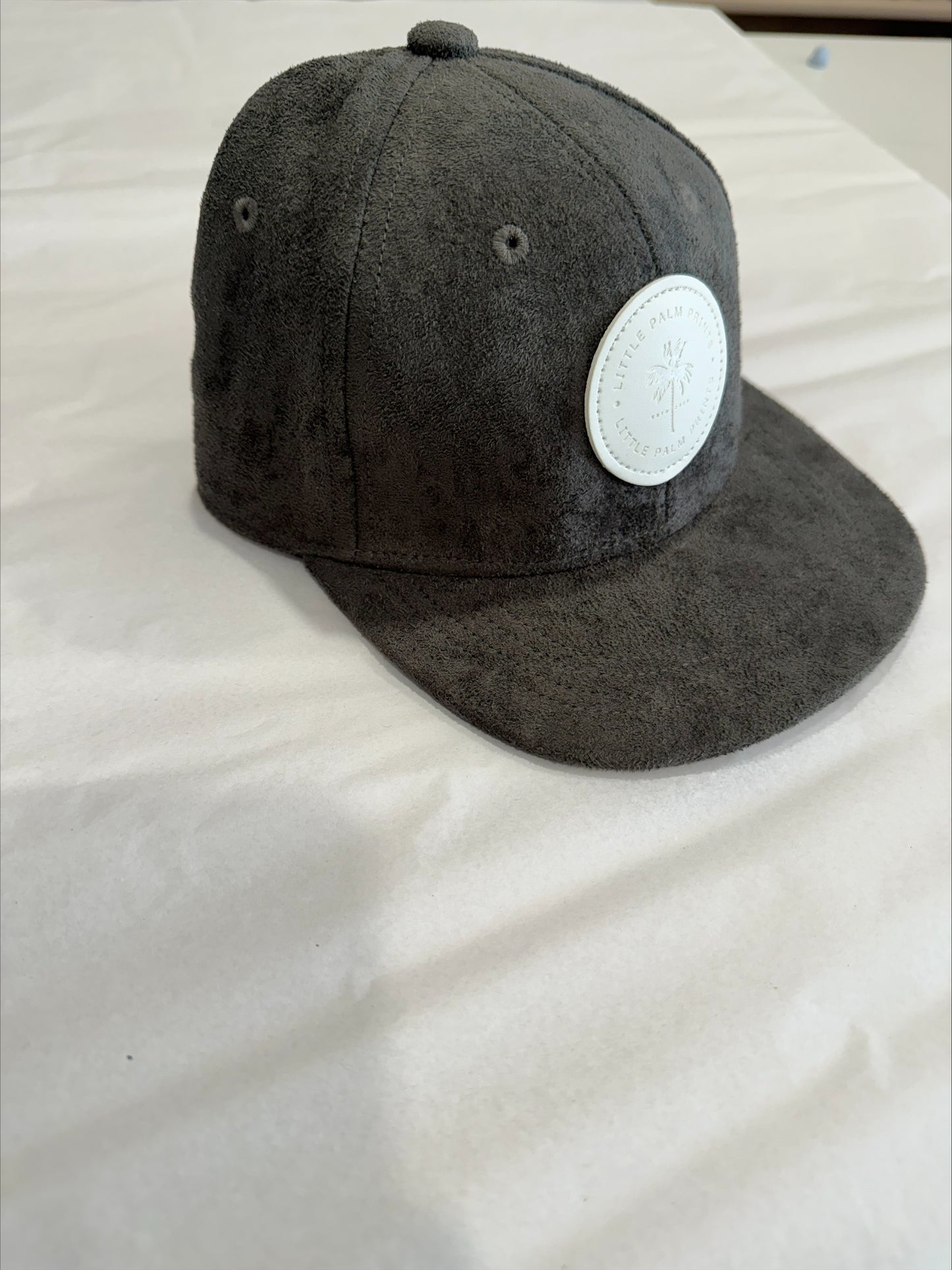 LPP Snapback Hat Suede