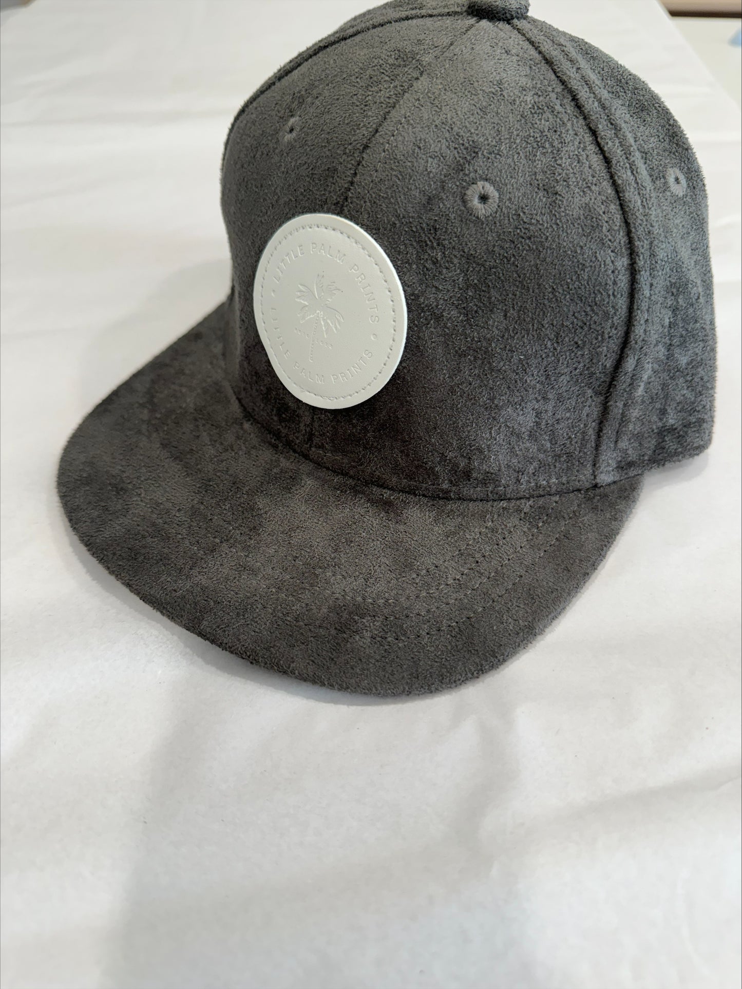 LPP Snapback Hat Suede