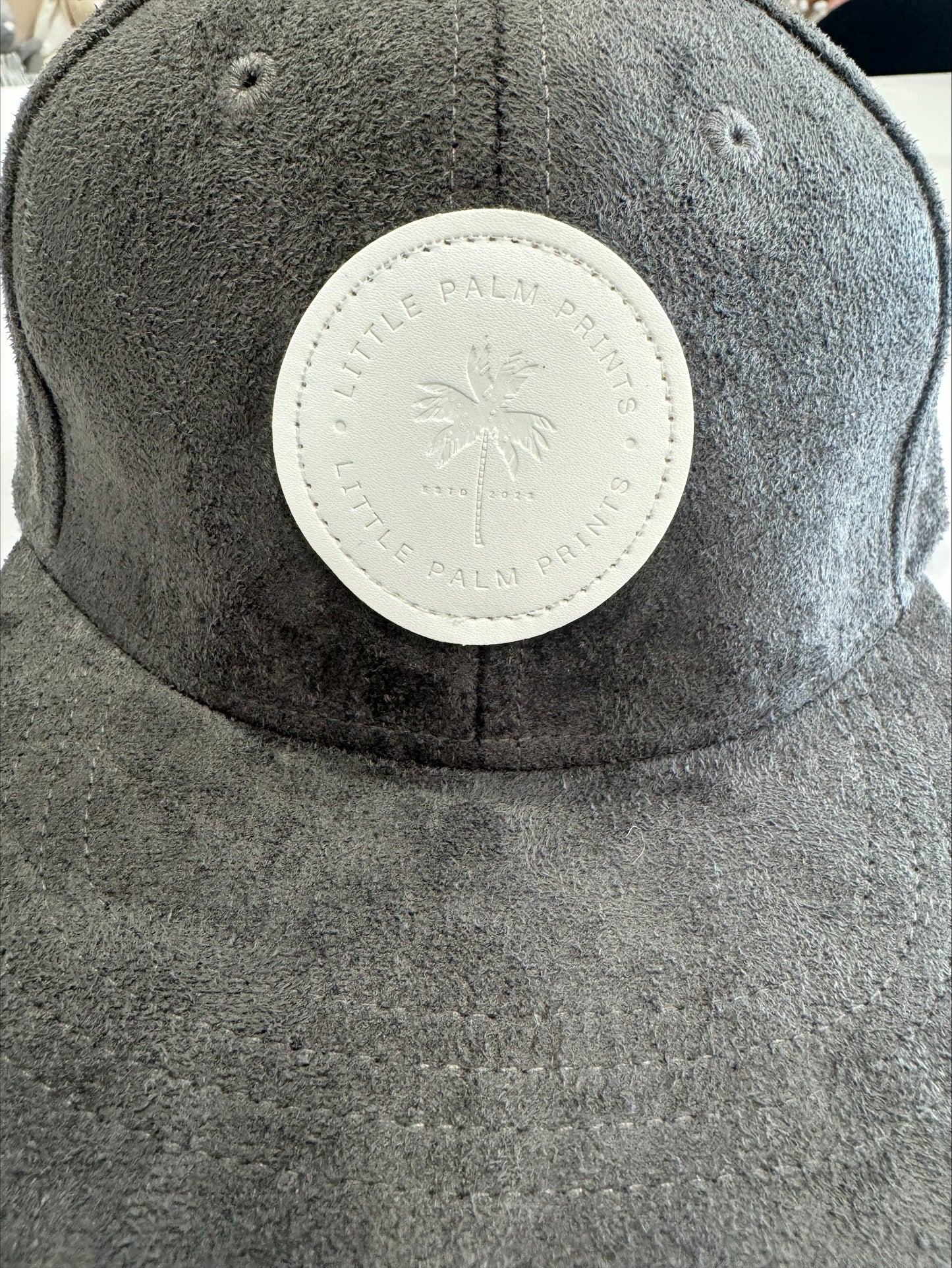 LPP Snapback Hat Suede