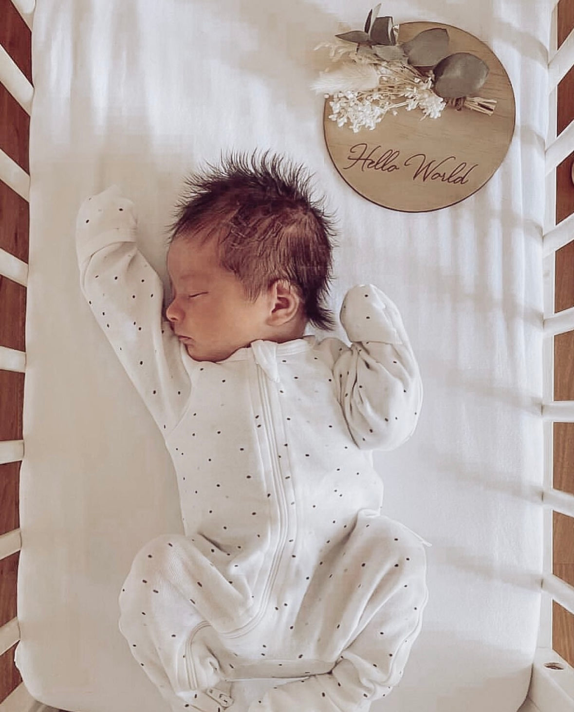 Meraki Botanics Hello World Floral